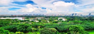 the-lake-garden-residences-yuan-ching-road-singapore-view